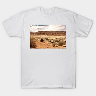 Arches National Park, Moab Utah T-Shirt